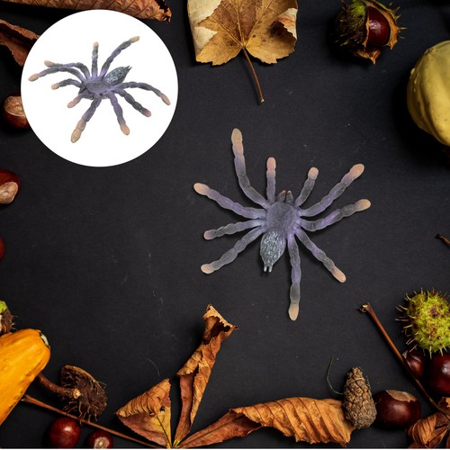 Realistic fake spider - spider, party