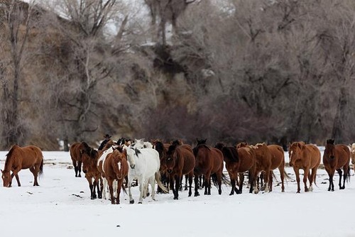 Photo routt county colorado - county,
