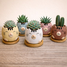 Cat Succulent Plant Pots