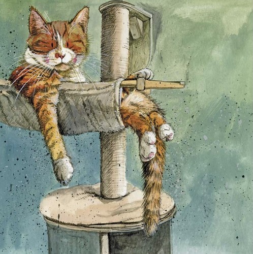 Alex clark funny ginger cat - funny,