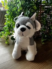 Cuddly King Sad Eyed Husky