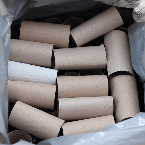 Clean empty toilet rolls - rolls, 50