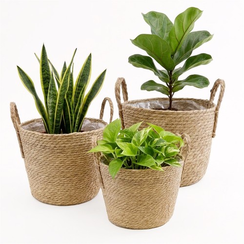 Round seagrass planter - round, baskets