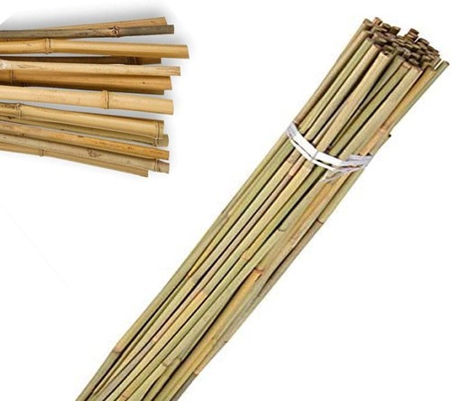 5ft bamboo canes garden plant - canes,