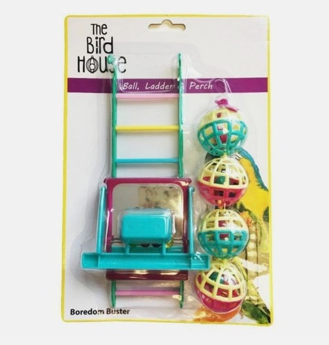 Happy pet fun the - pet, at