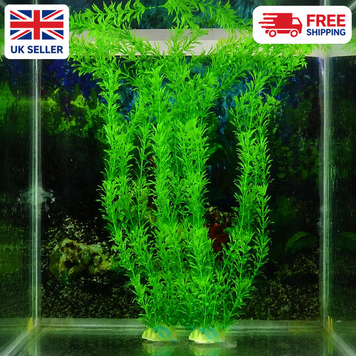 Plastic aquarium fish tank - fish,