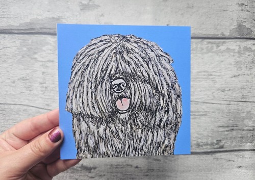 Komondor greetings card - card,, funny