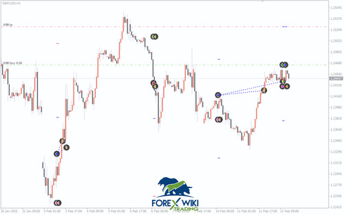 Forex trading - forex,