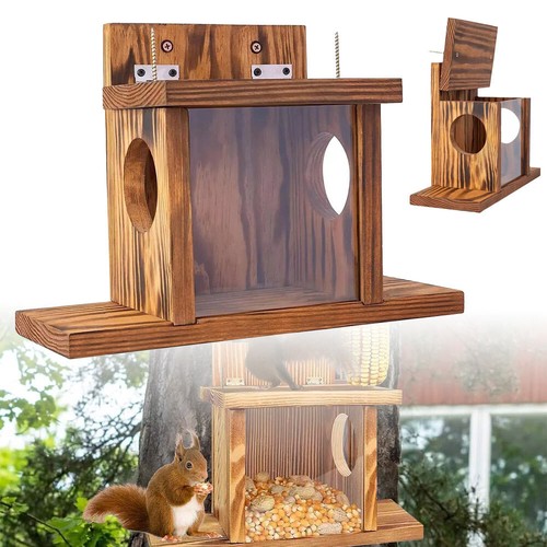 Garden squirrel feeder food - squirrel,