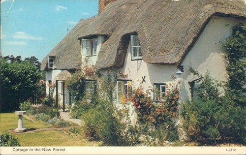 New forest cottage - new, dennis