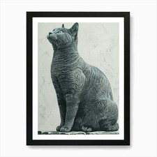 Russian blue cat relief - russian,