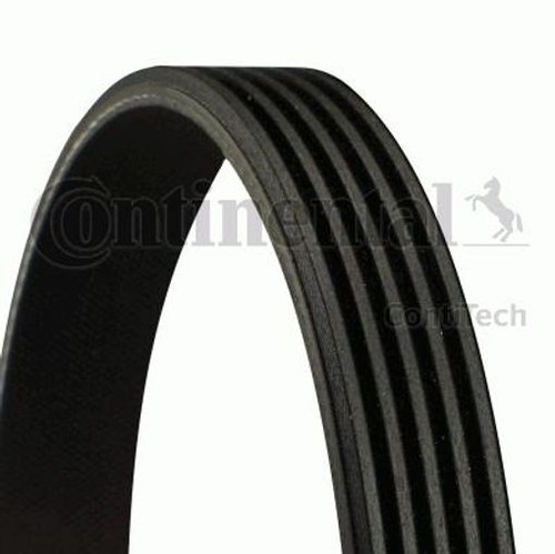 Fits continental ctam 5pk736 - fits,