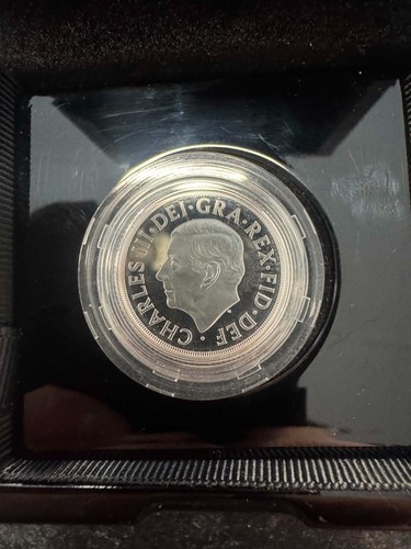 2025 royal mint silver - mint,