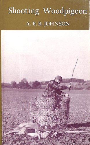 Shooting wood pigeon - wood,