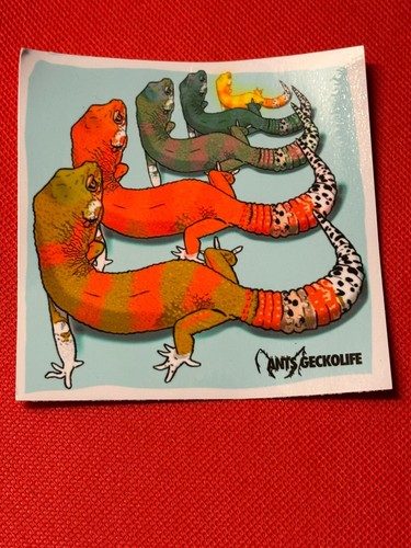 Leopard gecko sticker - leopard, of