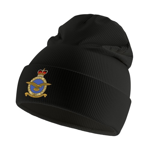 Royal air force veteran beanie - force,