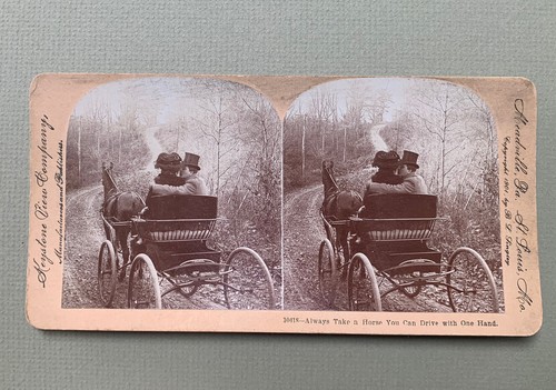 Horse drawn carriage - horse, lovers
