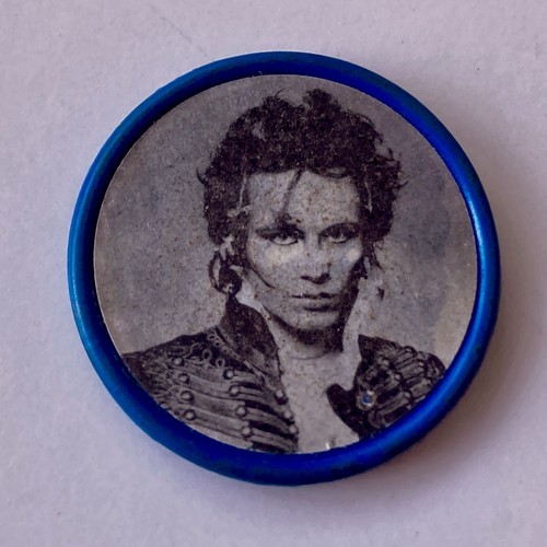 Adam the ants - adam,