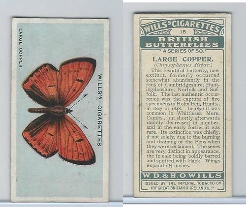 W62 119 wills british - w62-119,