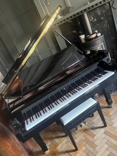 Baby grand piano - grand,