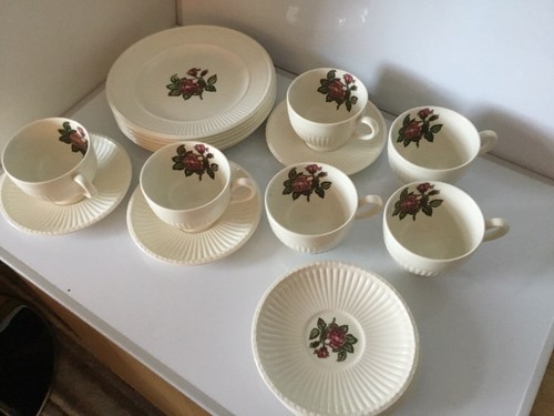 Wedgwood moss rose - moss,