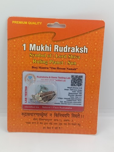 Mukhi rudraksha bead - 1,