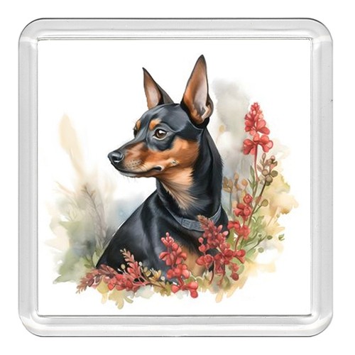 Miniature pinscher min pin - miniature,