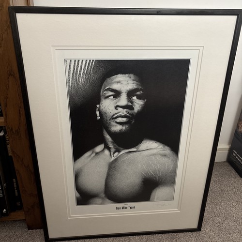 Boxing art the young - boxing,