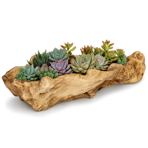 Resin flower pot wood - resin, –