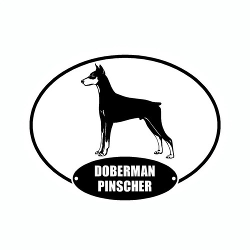 Doberman pinscher dobie euro - doberman,