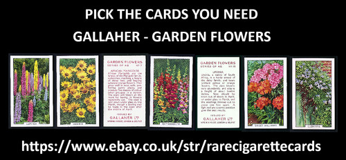 Gallaher garden flowers - gallaher,