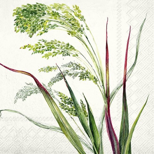 Ihr willa grass plants print - ihr,