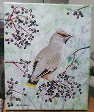 Waxwing acrylic painting 25cm