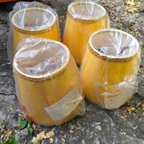 Small lamp shades - lamp, clip