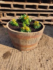 Half Barrel - Oak Whisky Reclaimed Wooden Tubs Planters - Various Sizes FREE P&P