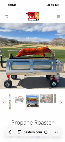 Spit roast hog - spit,