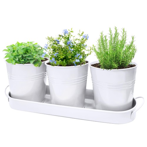Small metal herb pots - metal,