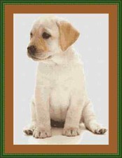 Labrador dog cross - labrador,