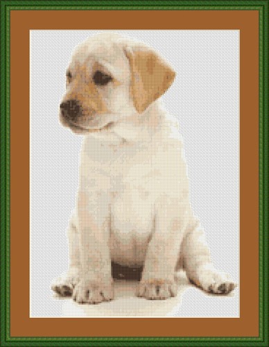 Labrador dog cross stitch - dog, kit