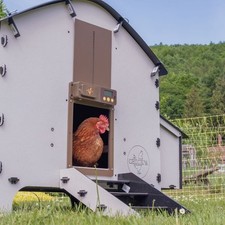 PLASTIC CHICKEN COOP HEN HOUSE POULTRY 6 BIRDS RECYCLED Nesting Box Ladder Hatch