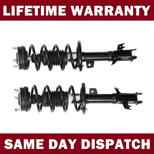 Shock absorber strut - shock,
