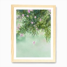 Acropora Humilis Ii Storybook