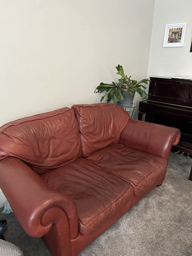 Derwent leather sofas