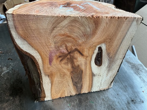 Yew blank - yew,yew, wood,yew