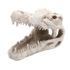 Lizard Tank Accessories