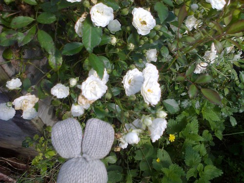 One little white - one,