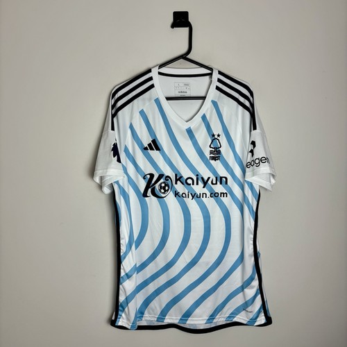 Nottingham forest football - forest,
