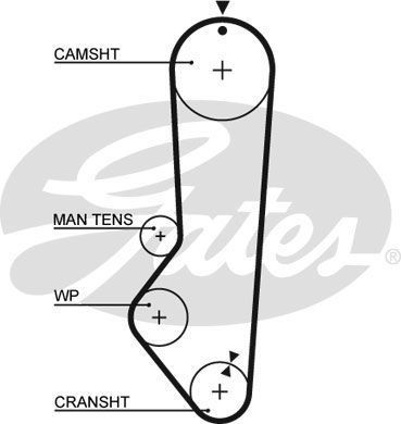 Genuine gates powergrip timing - genuine,