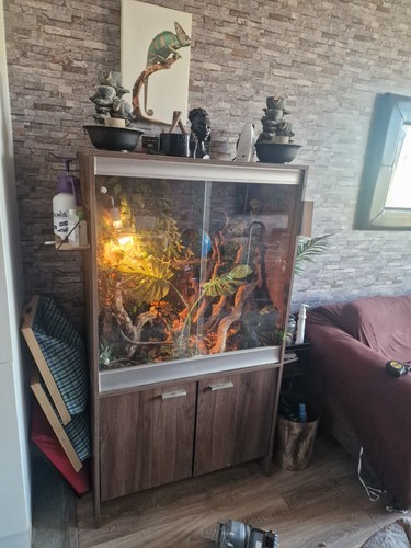 VIVARIUM