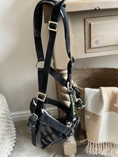 Greenguard Grazing Muzzle & headcollar XS  good condition 